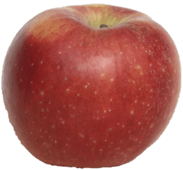 vikingapple