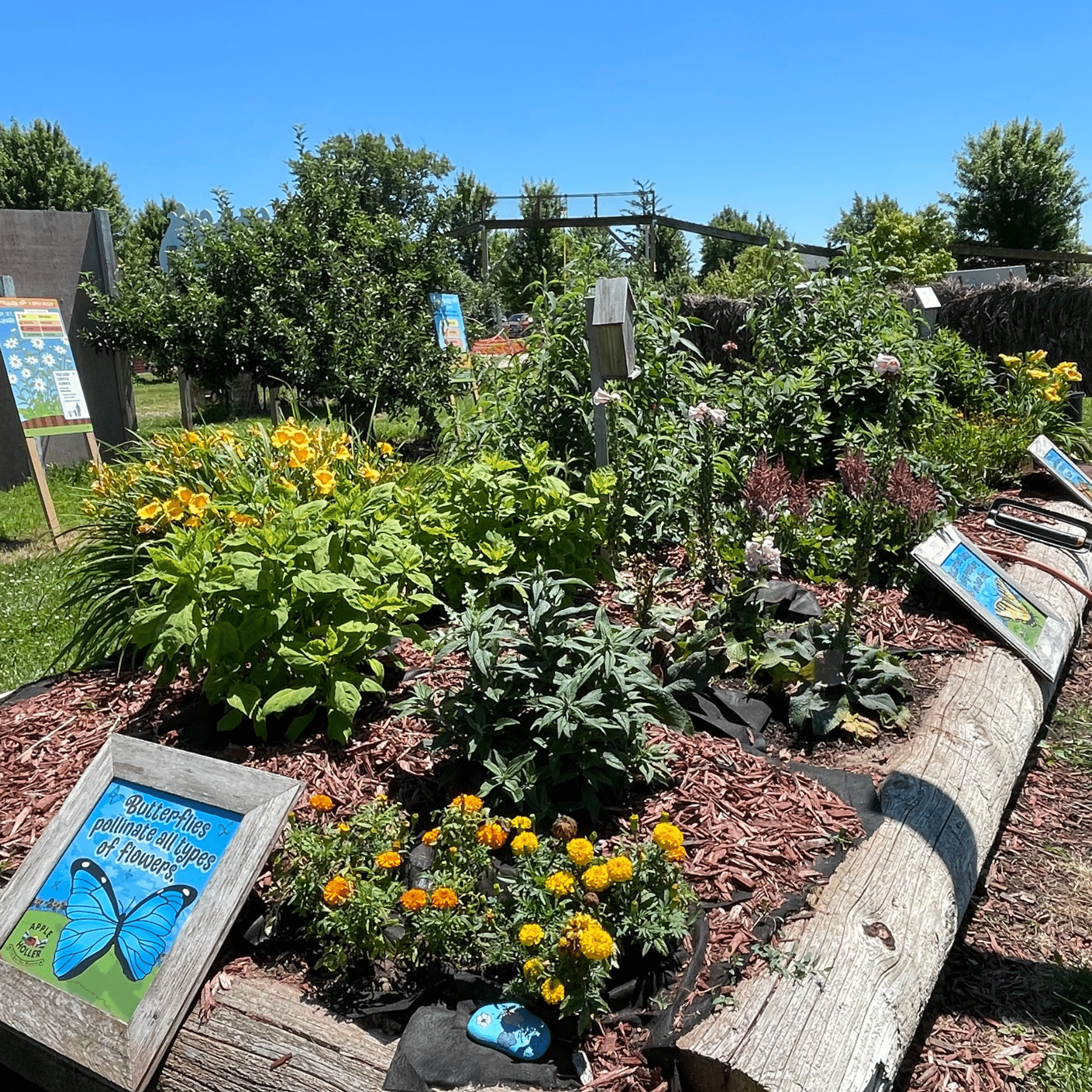 Butterfly Garden Garden of Eatin' Family Fun Park