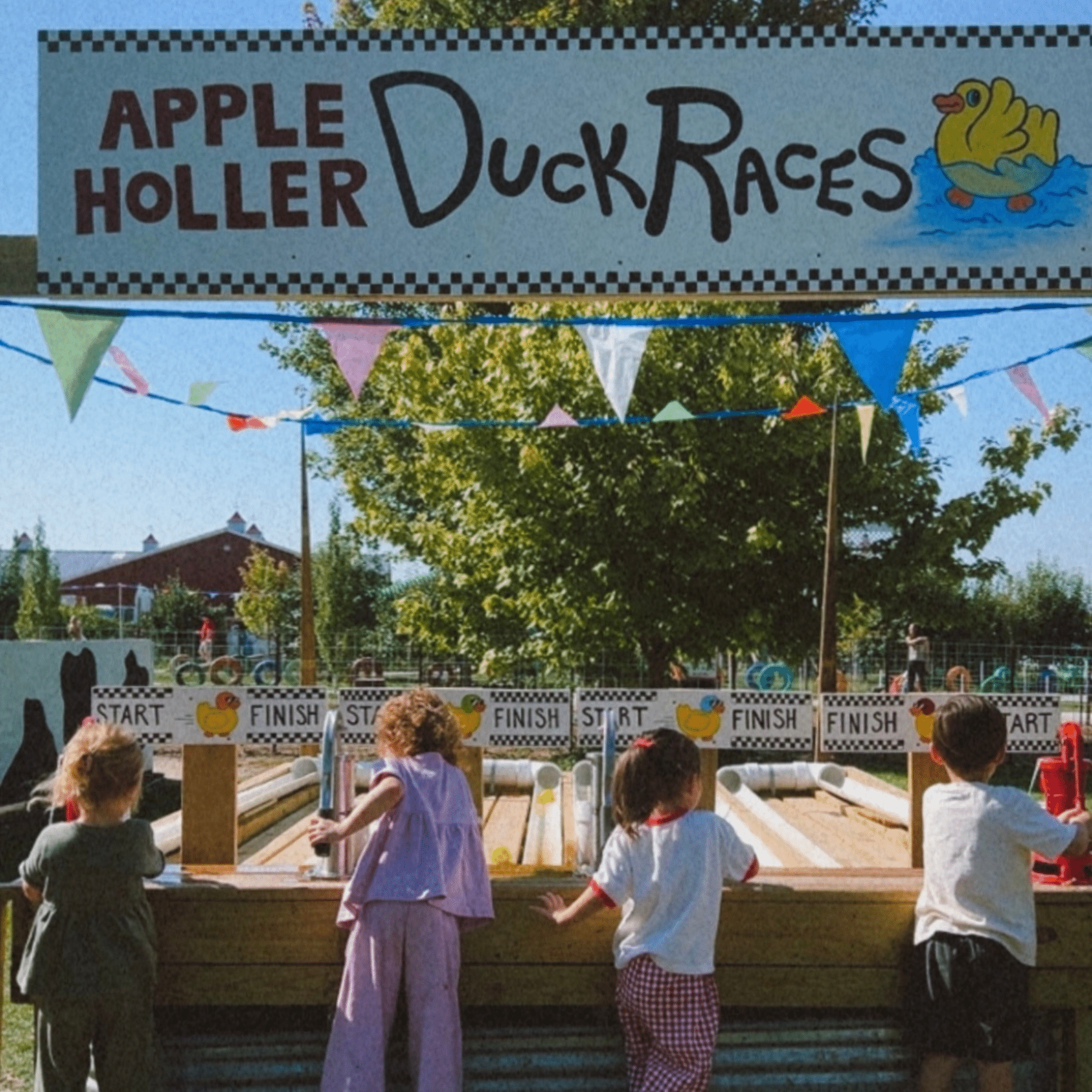 Duck Races Family Fun Park