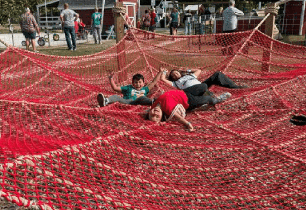 Giant Spider Web