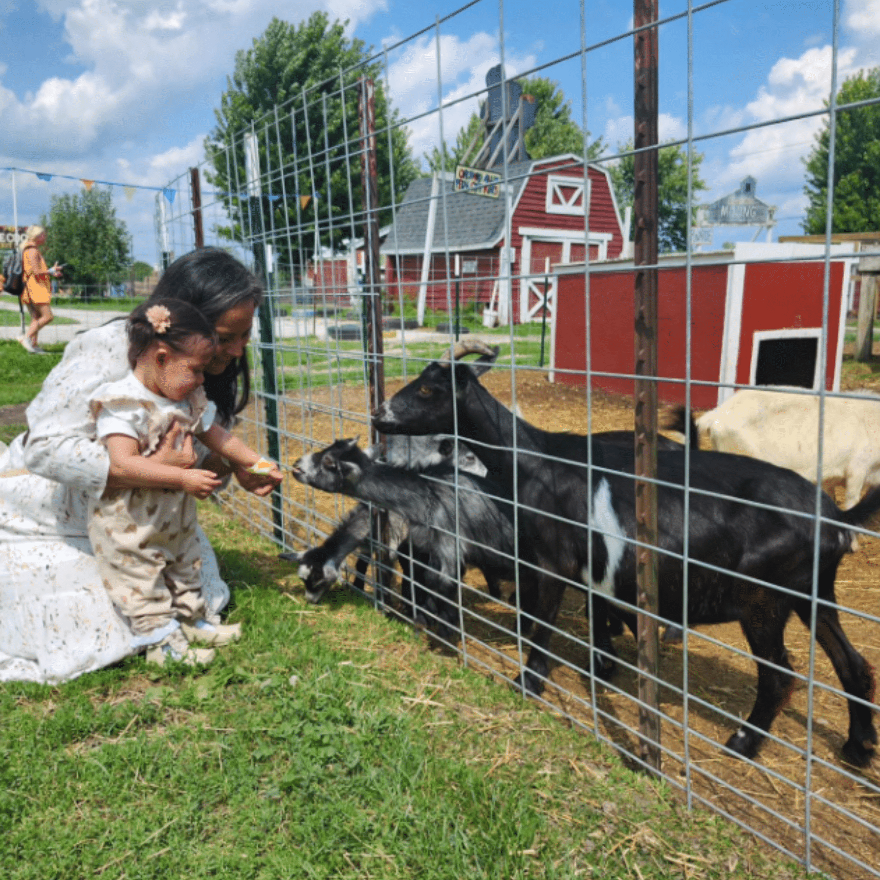 Goat Pens Family Fun Park