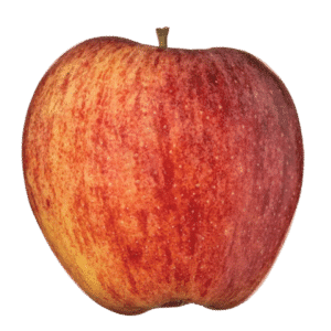 Scruffy Apple