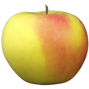 Smeralda Apple