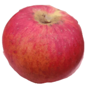 Somerset Apple
