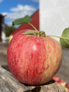 Summerset Apple