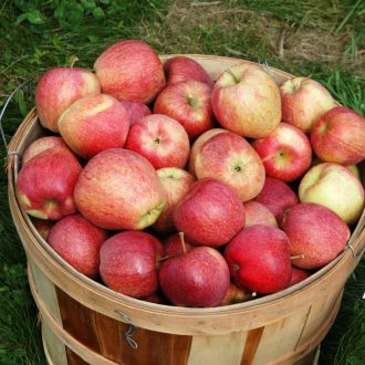 Bushel Basket 1 Bushel Basket 1