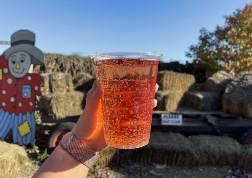 Hard Cider Cup Hard Cider Cup