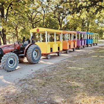 Train in Enchanted Forest