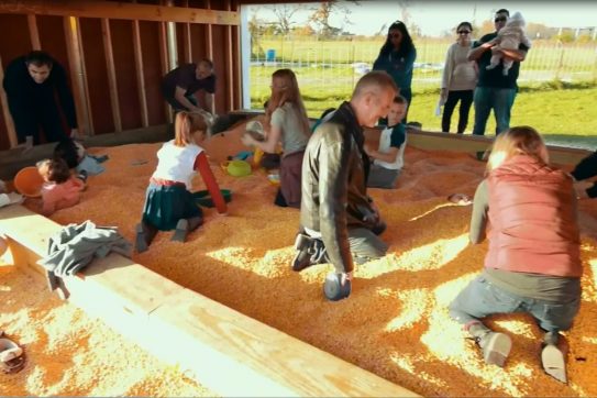 corn box fun corn box fun